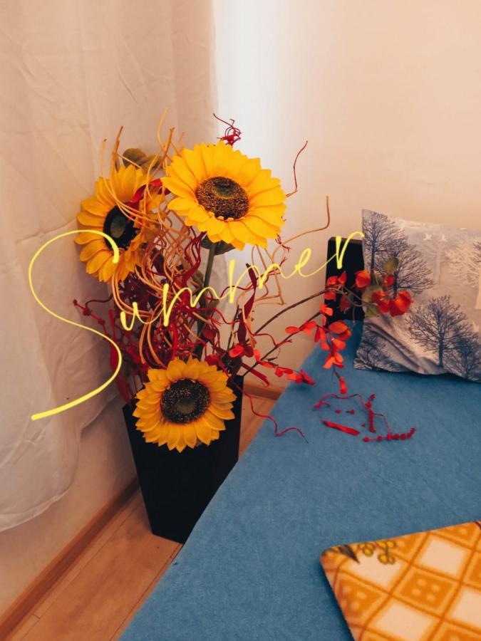 Studio Eva Sajmiste Extérieur photo