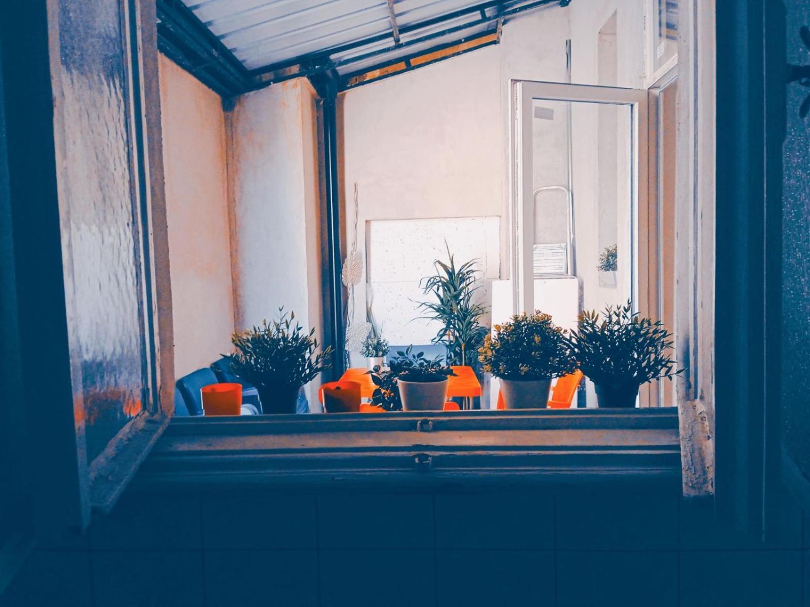 Studio Eva Sajmiste Extérieur photo
